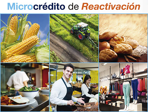 Microcreditos